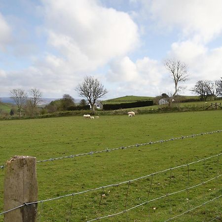 Bryntrisant Villa Devils Bridge ภายนอก รูปภาพ